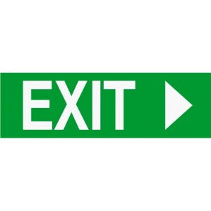 A standard green EM49 Signs of Safety Exit sign with bold white text reading 