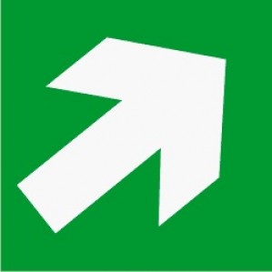 A bold white arrow pointing towards the upper right, set against a bright green background, indicates a signsofsafety EM54 Signs of safety Emergency Exit Only sign.