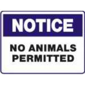 A rectangular signsofsafety notice sign with a blue border and the word "notice" at the top. It reads "animals not permitted" in black letters on a white background.